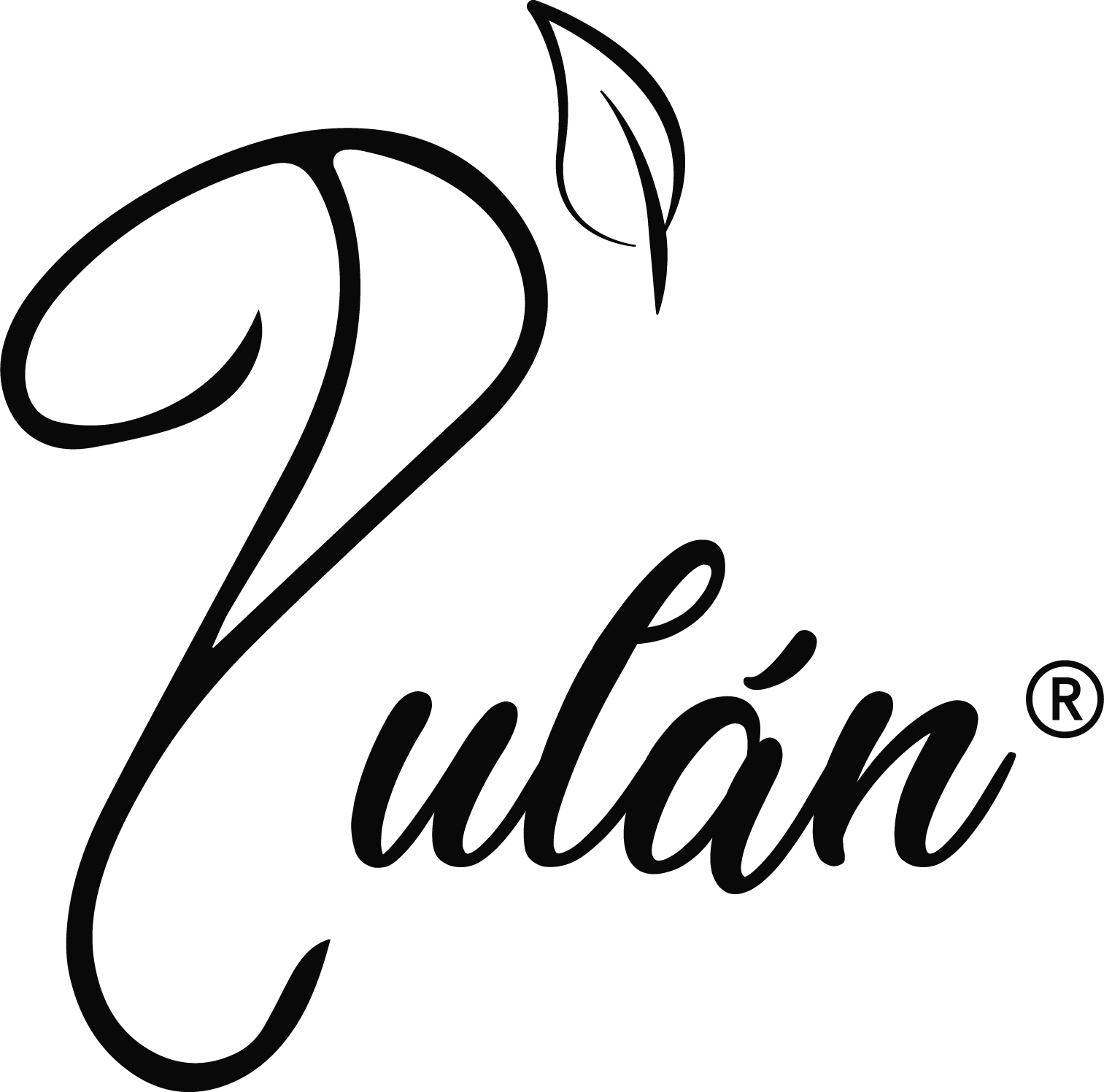 logo café pulán